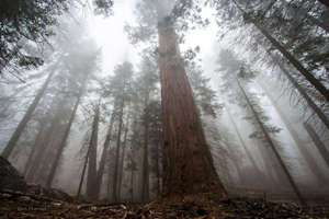 用月起名字(月字起名搭配什么字)