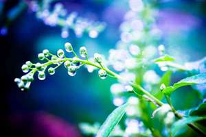 大腿肌肉酸痛怎么快速恢复(大腿肌肉酸痛该怎么办)