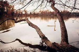 起名带香的(香字起名配什么字好)