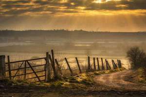 梦见自己掉头发周公解梦(梦见自己掉头发是什么意思)