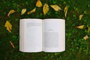 梦见自己跳悬崖(梦见自己跳悬崖是什么意思)