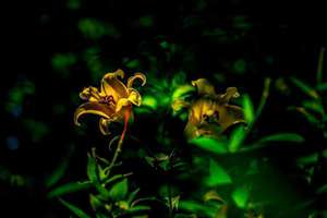 赵 起名(姓赵取什么名字好)