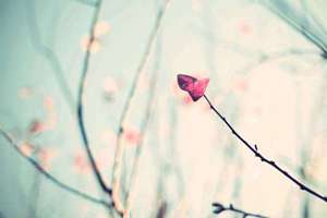 古籍中起名(如何取名是一门学问)