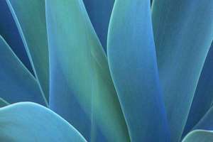 梦见儿子丢了又找到(梦见梦儿子丢又找到有什么预兆)