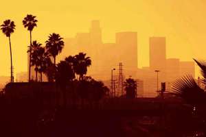 梦见狗咬脚后跟(梦见狗咬脚后跟是什么意思)