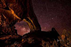 除疤起名(医资堂除疤袪痘袪斑纹绣这个商标名字怎么样)