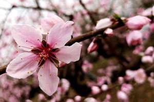 梦见别人买衣服试衣服(梦见别人买衣服试穿代表什么)