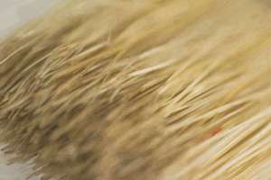 原神起名(原神好听的名字有哪些)