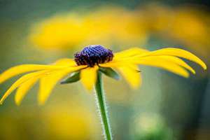 女人梦见自己有外遇(女生梦见自己外遇是什么意思)