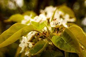 怎么起名字啊(如何起一个好名字)