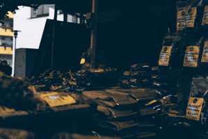 女人梦见树上开满了花(女人梦见大树上开满花是什么意思)