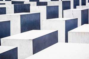 属兔未来15日运势怎么样(属兔未来15日运势)