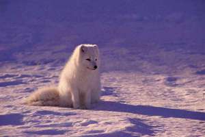 阚姓女孩起名(姓阚的女孩取什么名字好听)