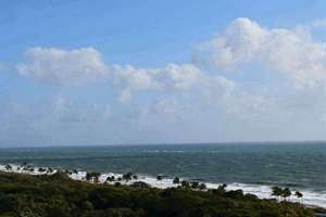 1981年出生的人2020年运势(1981年属鸡的人2020年运程详解)