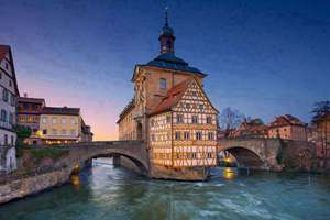 梦见茄子开花(梦见茄子花有什么预兆)