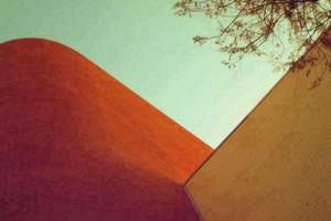 梦见给弟弟买鞋(单身女士梦见给亲弟弟买鞋是什么意思)