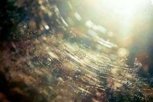 梦见名人去世(梦见名人死掉有什么预兆)