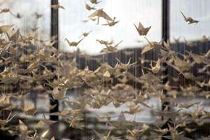 梦见自己疯(梦见自己疯了有什么预兆)