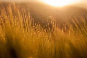 男孩起名缺火(男孩八字缺火怎么取好听有寓意名字)