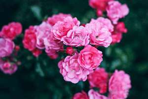 搞笑人名(搞笑人名字大全)