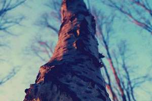 范宝宝起名(姓范取什么名字好听)