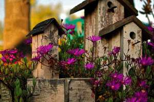 梦见宝石原石(梦见宝石原石是什么征兆预兆)