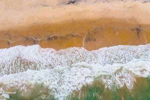 舒字起名(舒字取名的寓意和含义)