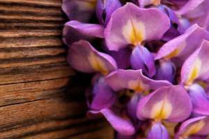 梦见别人窑洞上有坟地好不好(梦见别人窑洞上有坟地)