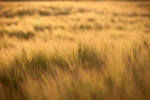 地产起名(寓意好的房地产名字)