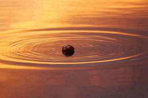 梦见妈妈杀人了(梦见母亲杀人了是什么意思)