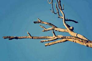 8画字有哪些起名字用(8画的字有哪些取名字男孩)