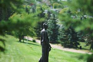 兽医起名(开兽医店叫什么名字)