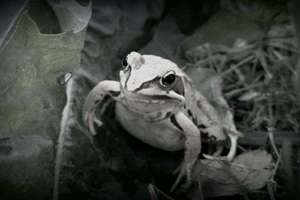 梦见别人的房子被拆了(梦见别人的房子被拆是什么意思)