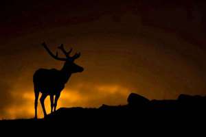 什么卢(你姓什么我姓卢什么卢怎么回答)