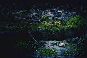 秦氏起名(姓秦取什么名字好)