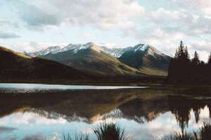 梦见卖辣椒(梦见自己卖辣椒是什么意思)