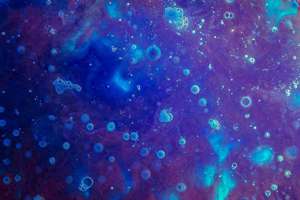 梦见许多黄鳝(梦到很多黄鳝征兆好不好)