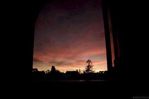 梦见养龙(单身梦见养龙是什么预兆)