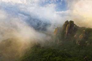 周公解梦梦见收稻谷(梦见收稻谷有什么预兆)