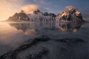 梦见买棉花(梦见梦买棉花有什么预兆)