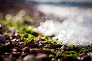 梦见拉蛔虫(梦见自己拉蛔虫有什么预兆)