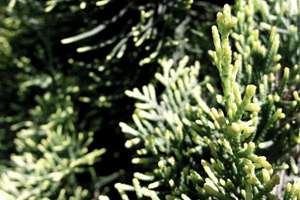 梦见房子漏雨水(做梦梦见屋子漏雨是什么意思)