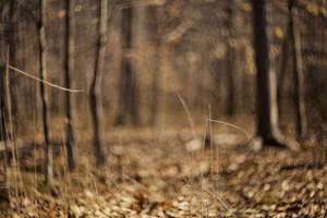 梦见自己教训别人(梦见教训别人代表什么意思)