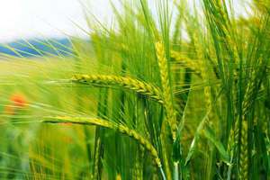 梦见搞暧昧(梦见和别人暧昧是什么预兆)