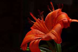 用宇起名(宇字取名的寓意和含义)