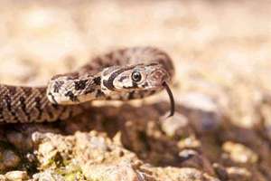 幸运吧起名(好听的男孩名字大全)