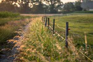 梦见在工厂上班(梦见在工厂里工作意味着什么)