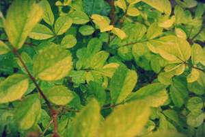 梦见已故的人给我钱(梦到了死去的人给自己钱意味什么)