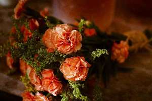 梦见一条蛇是什么预兆(梦见一条大蛇是什么意思)