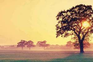 梦见古城(梦到看到一座古城预示什么)